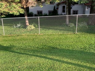 Rhiannon S.'s Yard Cutting service result